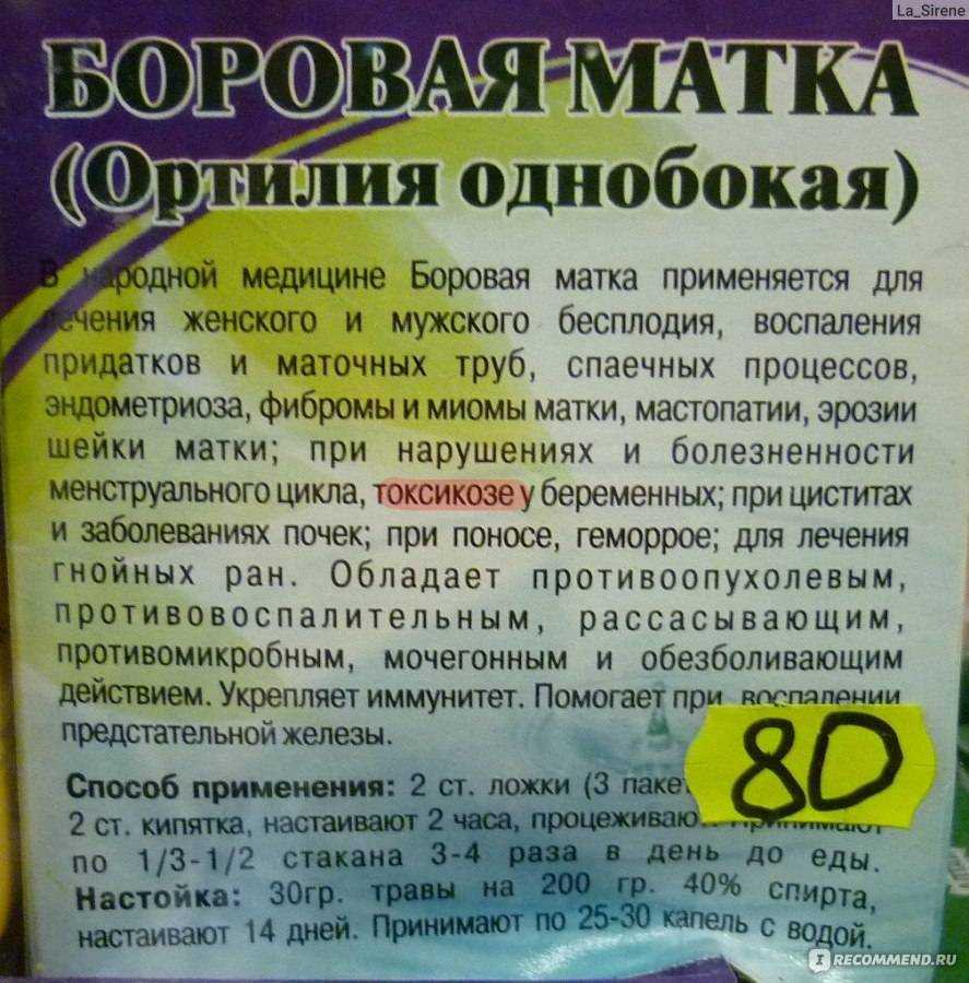 Ортилия однобокая: применение в народной медицине. рекомендации, отзывы :: syl.ru
