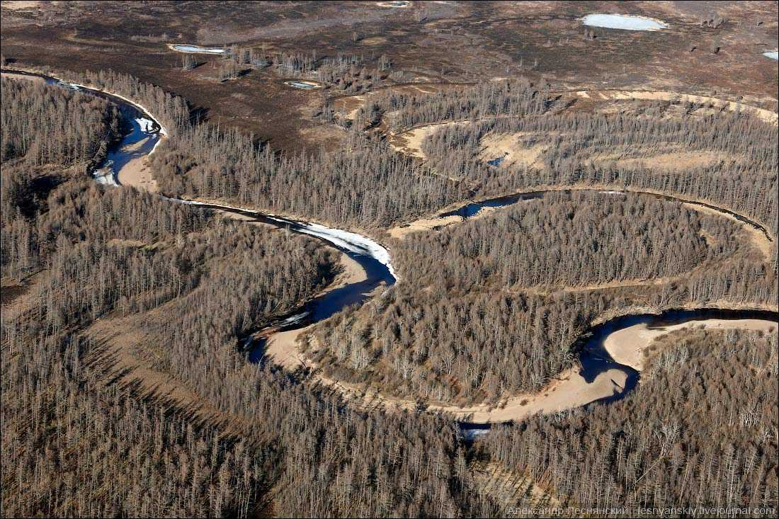 Подробное описание озера Линево в Омской области в Муромцевском районе: базы отдыха, цены, способы добраться и расстояние от Омска Это одно из знаменитых 5 озер