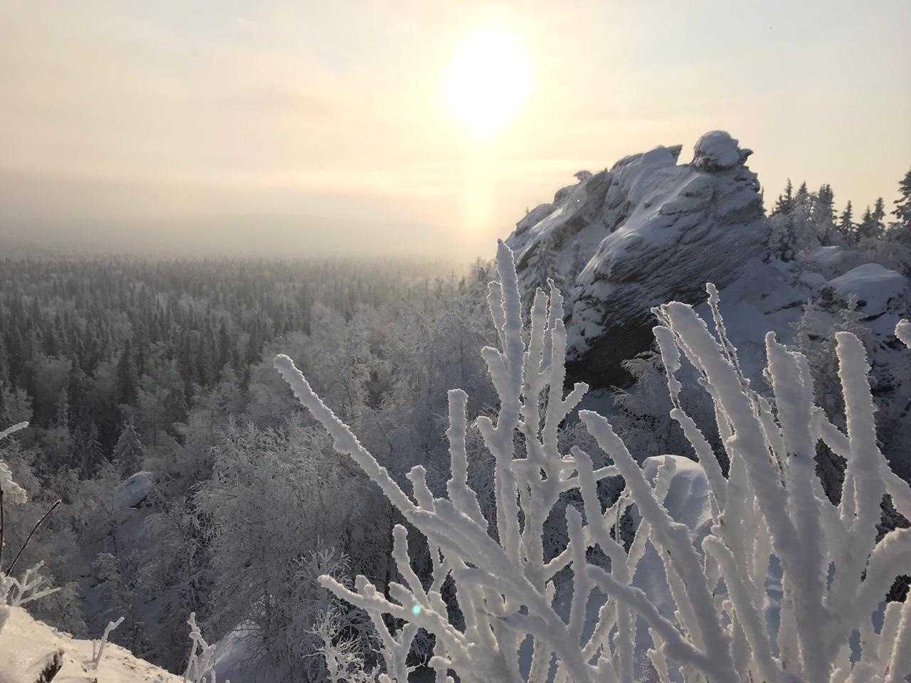 Шунут – одна из наиболее знаковых природных достопримечательностей южной части Свердловской области, это главная вершина Коноваловского увала Высота Шунута – 726 метров над уровнем моря Красота этого места круглый год привлекает много туристов