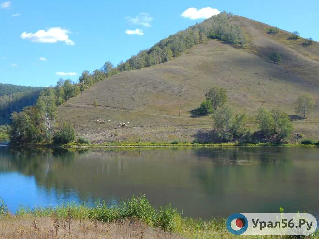 Многоводные реки башкортостана :: syl.ru