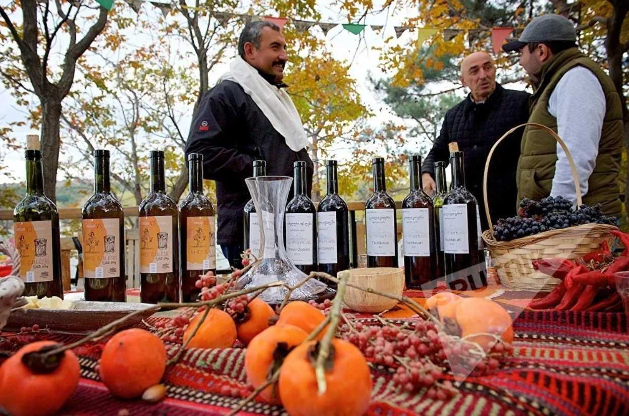 Бюджетный гид по винным регионам: где найти вино мирового уровня недорого