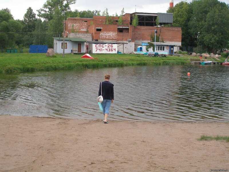 Красное село, озеро безымянное - экология, отдых, рыбалка :: syl.ru