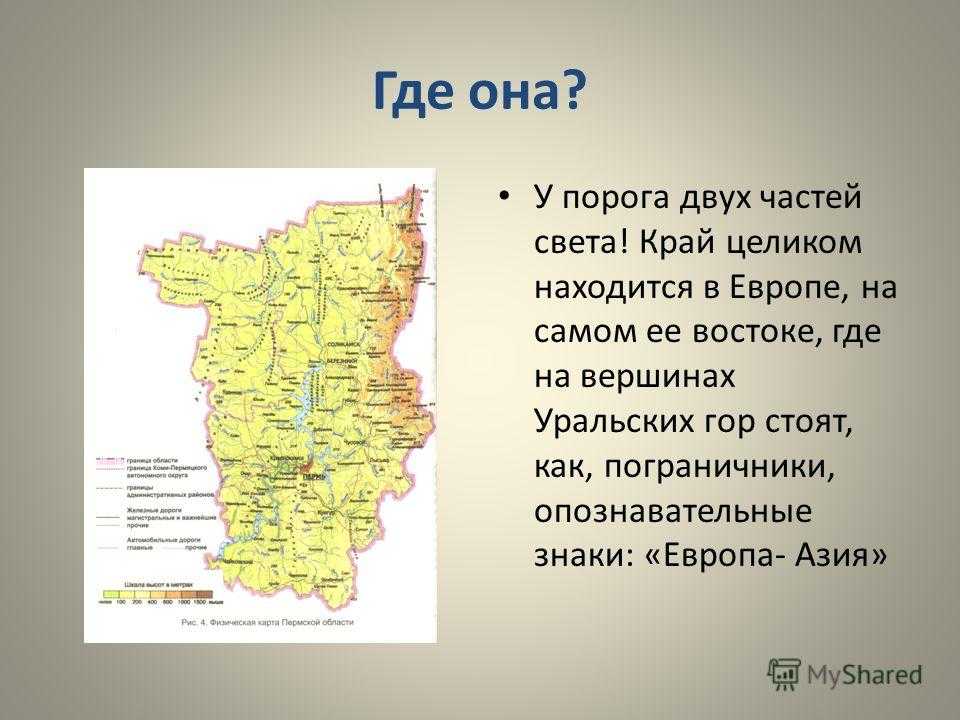 Природные зоны пермского края презентация