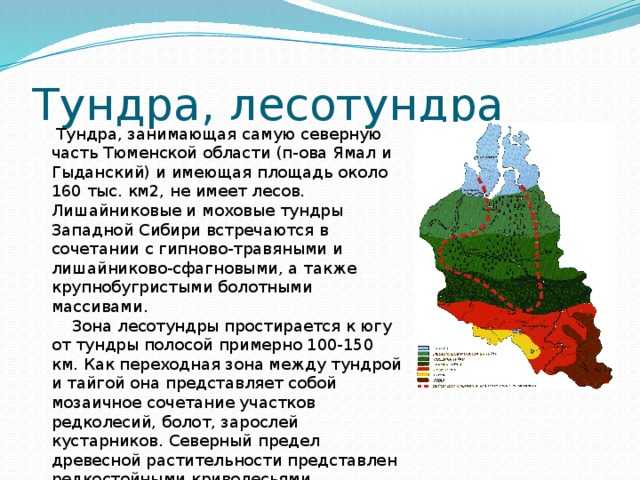 Достопримечательности города ялуторовска тюменской области