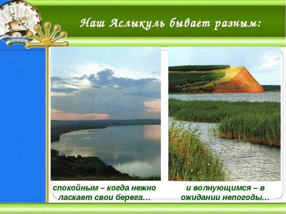 Озеро аслыкуль: где находится, описание, история