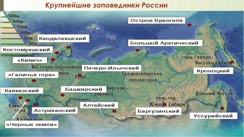 Национальный парк «гыданский»: описание, как добраться, фото