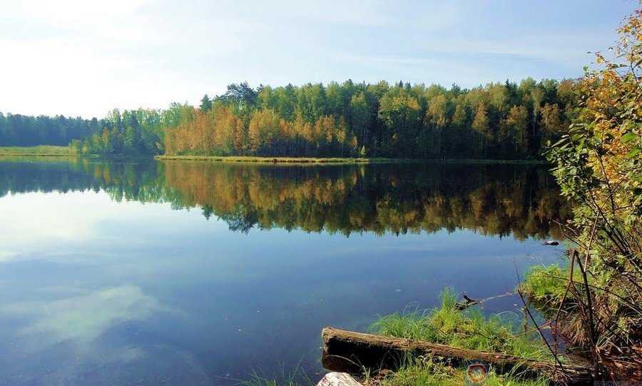 24 достопримечательности онежского озера, которые стоит посмотреть