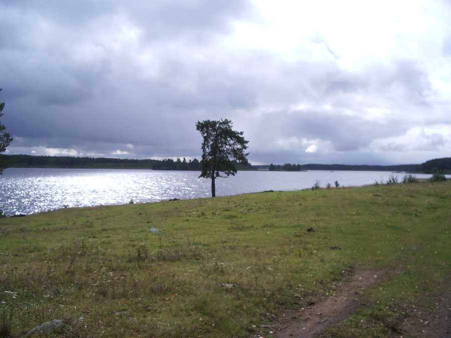 Озеро большой куяш(огневское)
