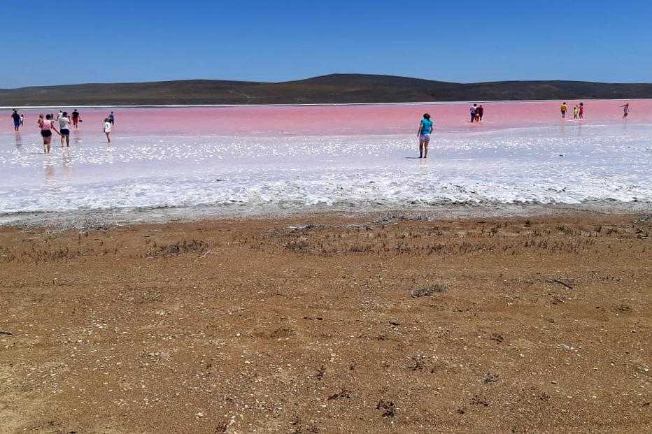 Розовое озеро сасык-сиваш в евпатории: история озера и почему оно розовое