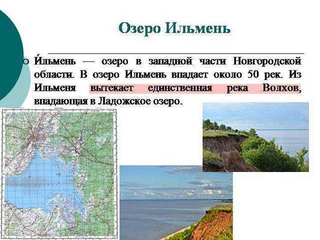 Название озера ильмень. Озеро Ильмень. Озеро Ильмень Новгородская область на карте. Озеро Ильмень реки. Растительный мир озера Ильмень.