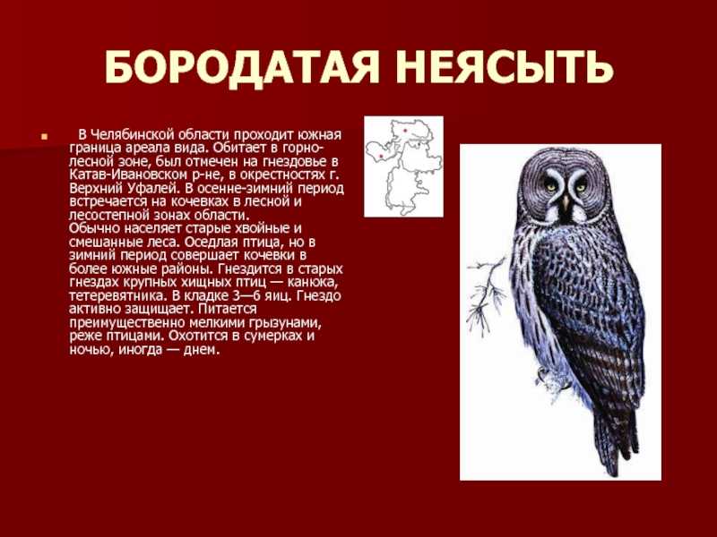 Список животных и растений, занесенных в Красную книгу Челябинской области