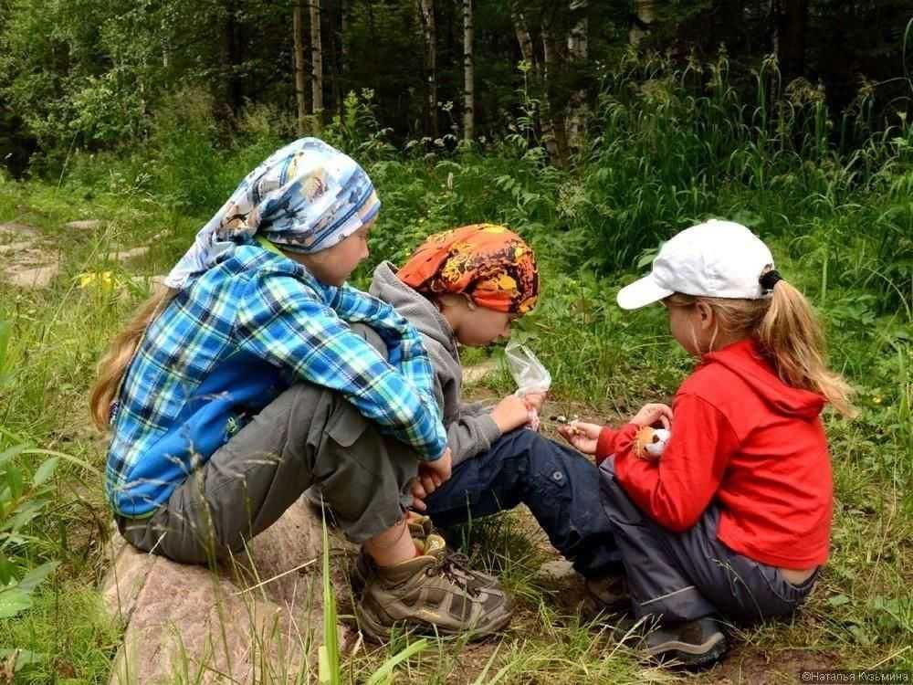 Маленький поход. Туристический поход с детьми. Поход в лес с детьми. Дети в походе. Поход с детьми на природу.