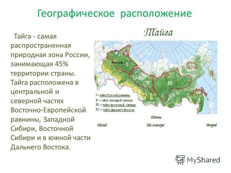 На каких материках расположена тайга. Зона тайги на карте России. Географическое положение зоны тайги в России. Географическая карта России с природными зонами. Природная зона Тайга географическое положение.