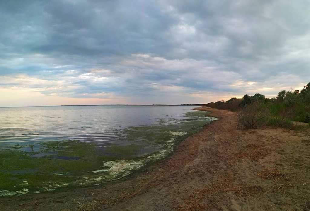 Кулундинское озеро алтайский