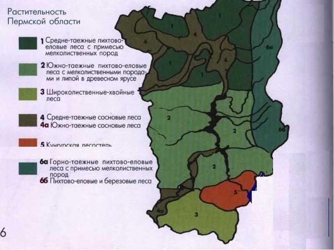 Карта природных зон пермского края