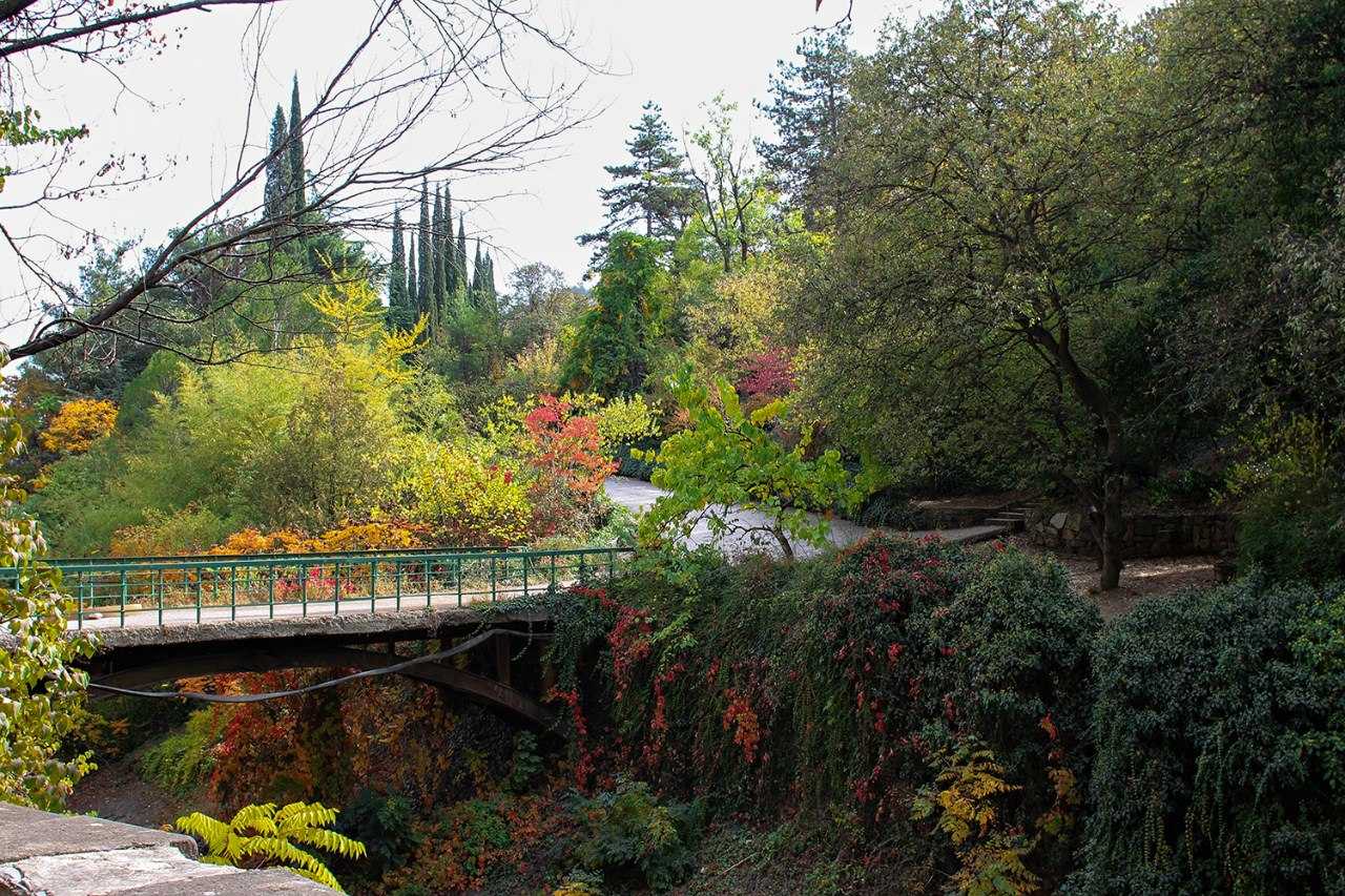 Ботанический сад им. косенко – краснодар: адрес, фото, сайт, описание
