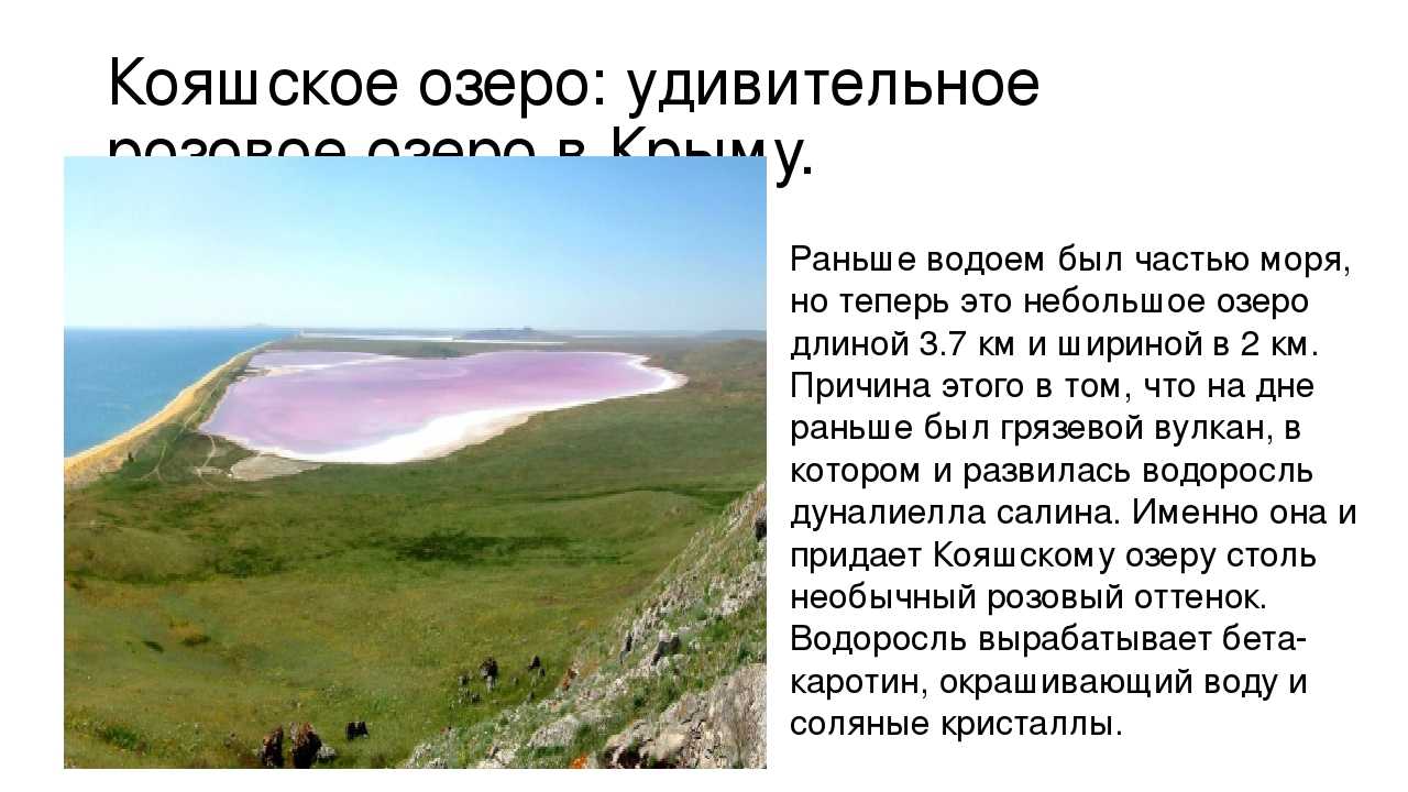 8 невероятных «розовых» озер нашей планеты