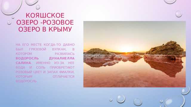 Розовое (кояшское) озеро в крыму