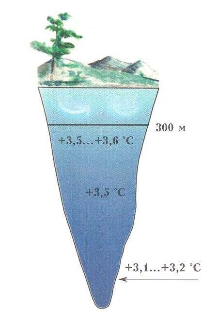 Морская вода градус. Распределение температуры воды в озере. Вертикальное распределение температуры воды в Озерах. Температура воды в Байкале. Глубина Байкала.