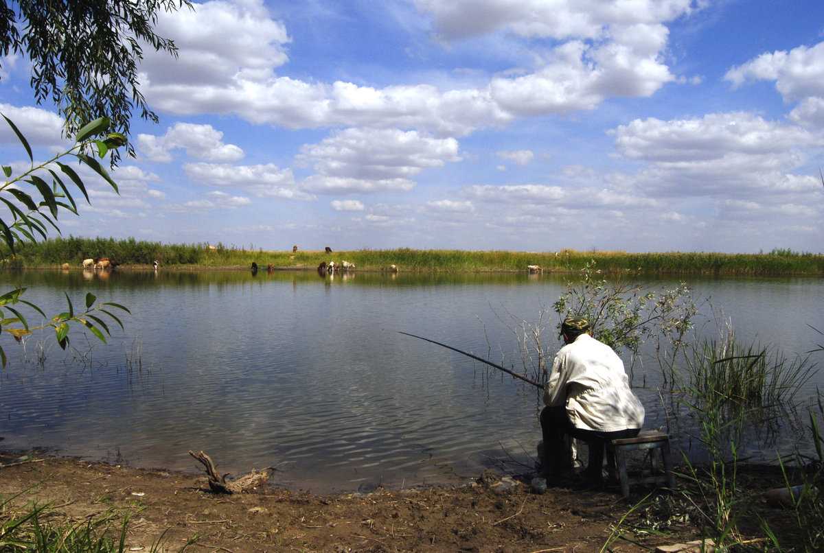 Рыбалка в на берегу озера недорого