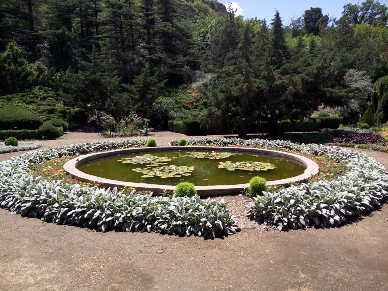 Наведались в ботанический сад в тбилиси, в который почти никто не ходит (и на то есть причины)