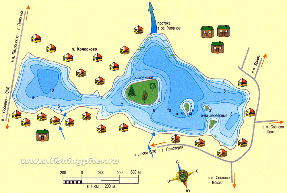 Карта всех озер брянской области