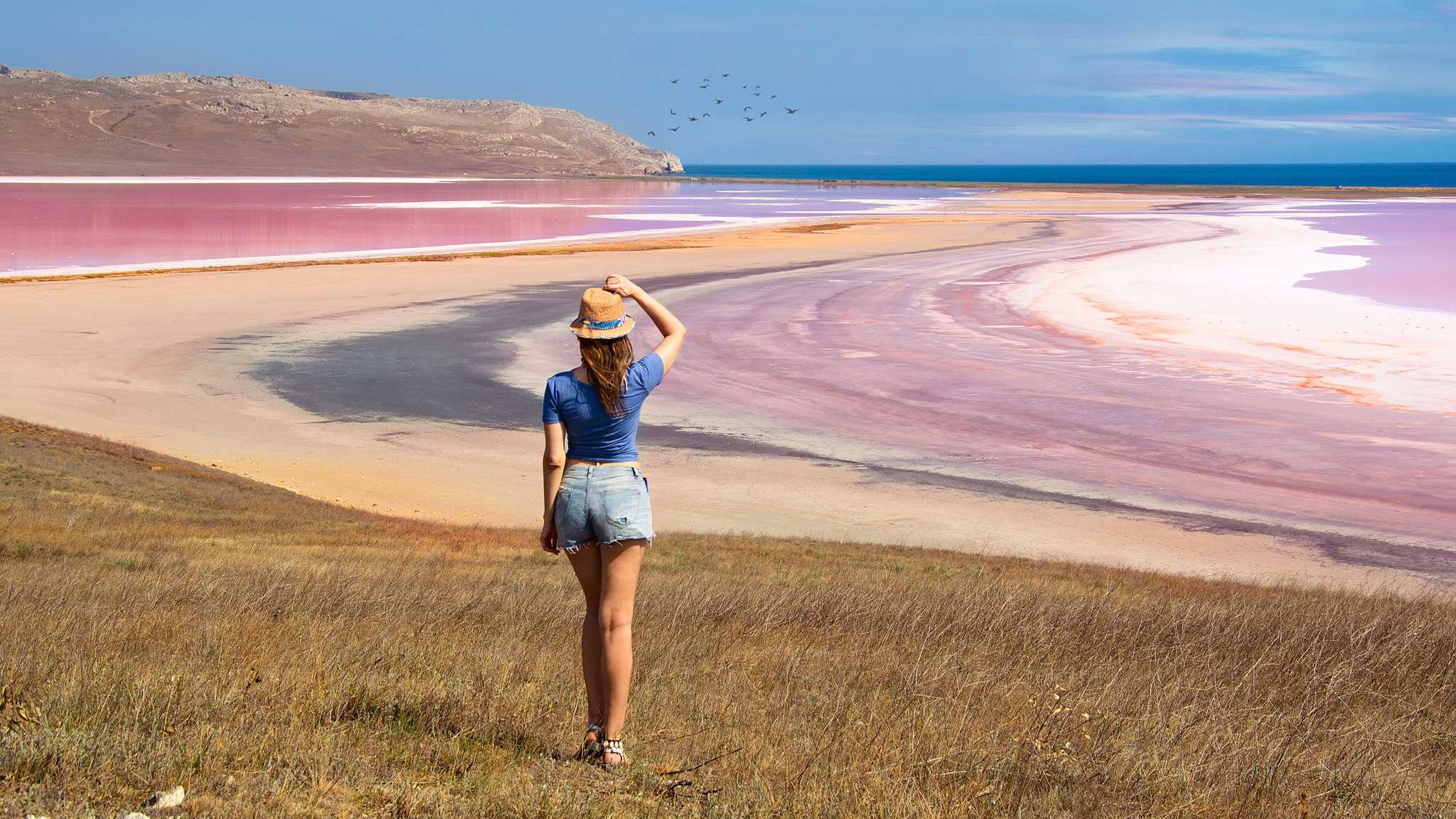 Розовое озеро в крыму — целебные свойства водоёма