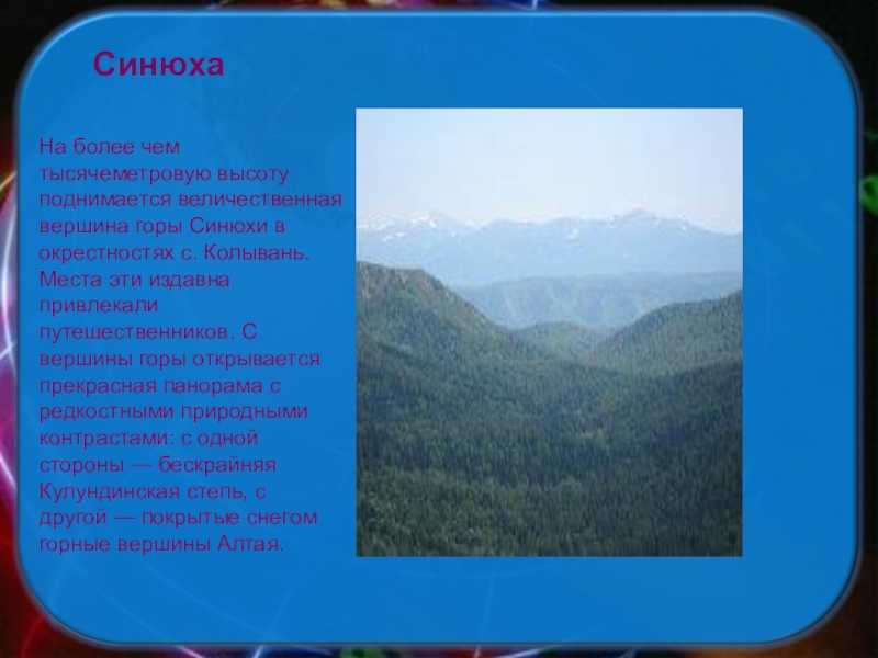 Хребет открытий. Высота горы Синюха на Алтае. Алтайский край гора Синюха презентация. Гора Синюха высота. Сообщение о горе Синюхе.