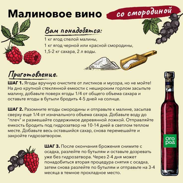 Бывают ли грузинские вина вкусными: разбираюсь где и из чего их делают и делюсь 6 лучшими из недорогих