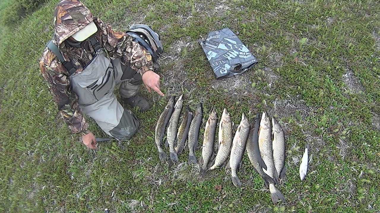 Рыбалка на реке день. Рыбалка на реке Ламь. Хариус на спиннинг на малой речке. Рыбалка на реке Лимури. Река Истра рыбалка.