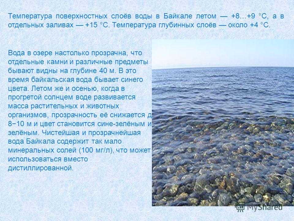 Температура воды в финском заливе. Температура воды в Байкале. Озеро Байкал температура воды. Байкал температура воды летом. Озеро Байкал температура воды летом.