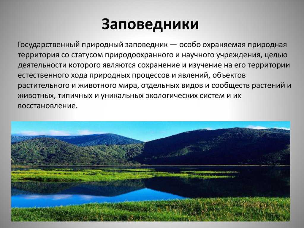 География презентация 8 класс охрана природы и охраняемые территории