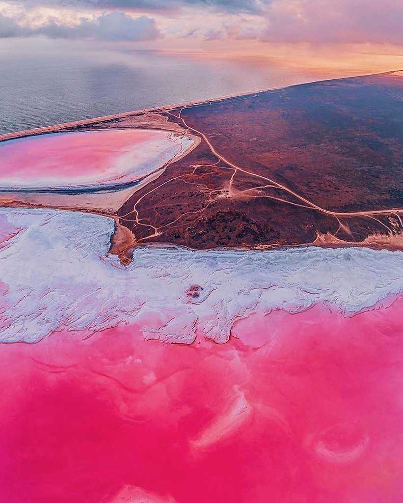 Розовое озеро в крыму