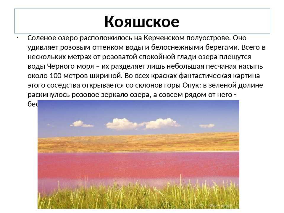 Розовые озера в крыму