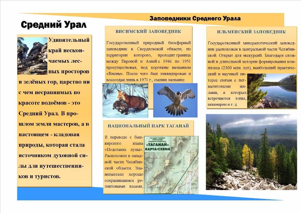 Топ 10 заповедных и природоохранных территорий россии – список, фото, карты и описание