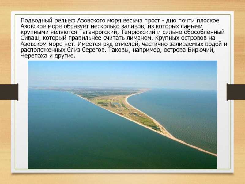 Отдых на азовском море общие сведения: о гидрологии и береговой линий, каковы климатические характеристики, и водные обитатели?