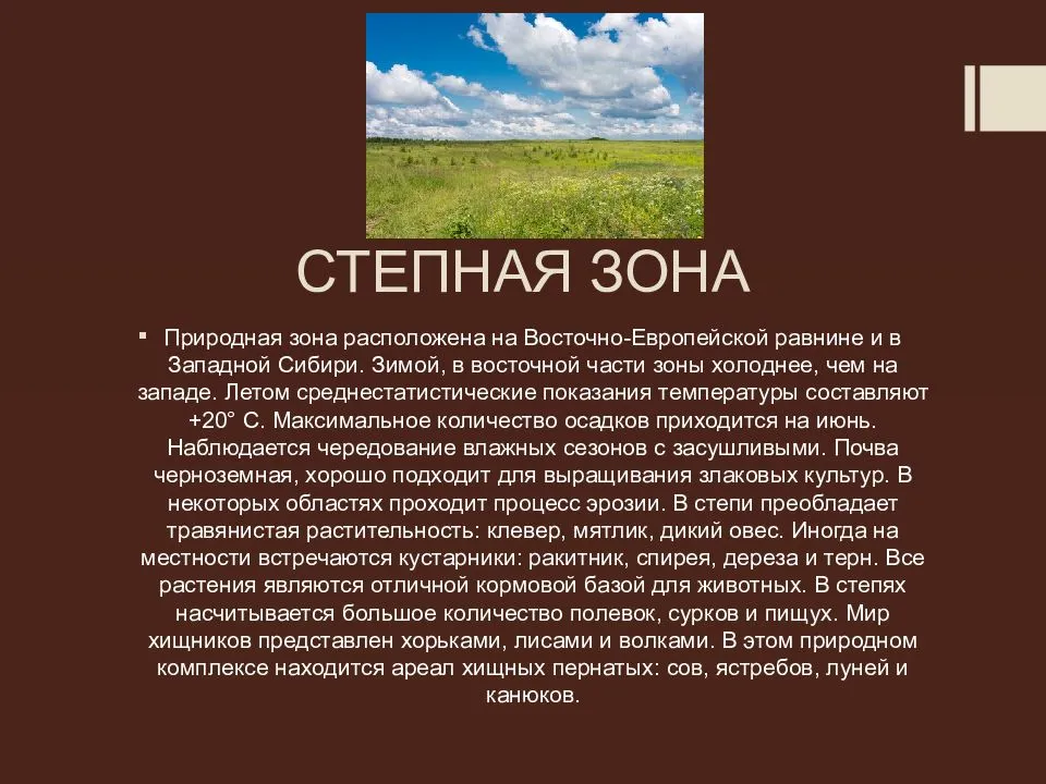 Презентация на тему «на древнем даиксе» - жизнь покорителей степей