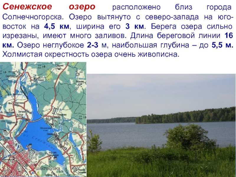 Части озера 4 класс. Крупнейшие озера Московской области. Озеро Сенеж информация. Крупное озеро в Подмосковье. Озеро Сенеж сообщение.