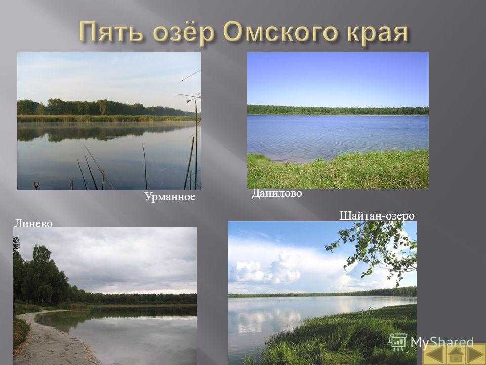 Работа в 5 озер. 5 Озёр в Омской области. Реки и озера Омской области. Пять озёр озеро. Озеро шайтан Омская область.