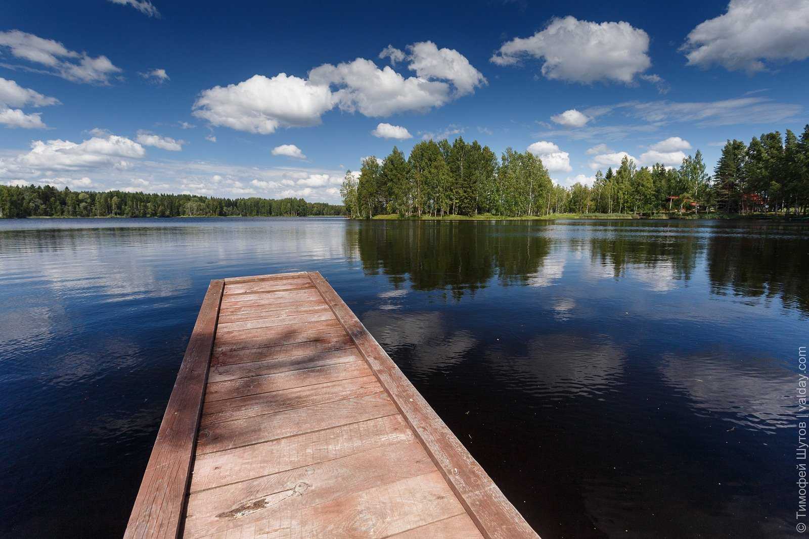 Озеро здесь шире. Валдай озеро Валдайское. Озеро Вилея Хвойнинский район. Озеро Валдайское Новгородская. Белое озеро Новгородская область.